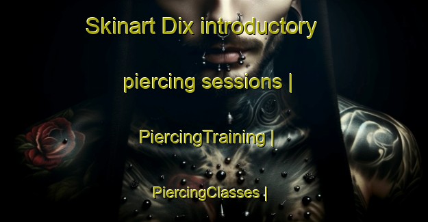 Skinart Dix introductory piercing sessions | PiercingTraining | PiercingClasses | SkinartTraining-United States